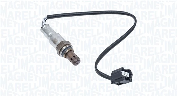 Oxygen Sensor